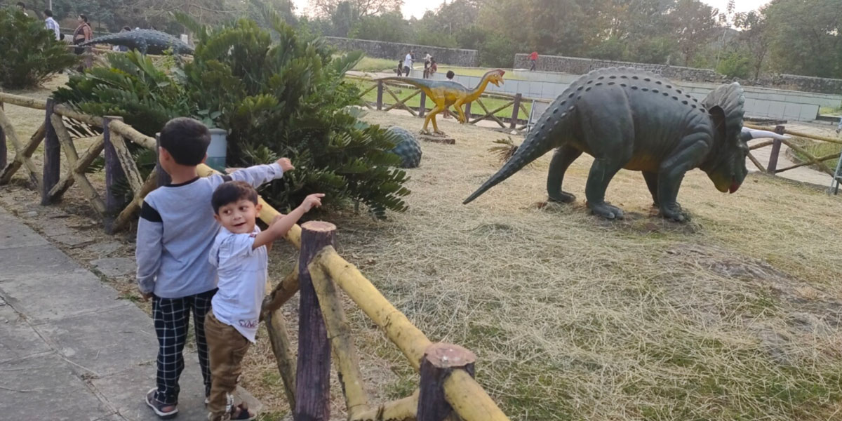 Pre-historic Animal Park